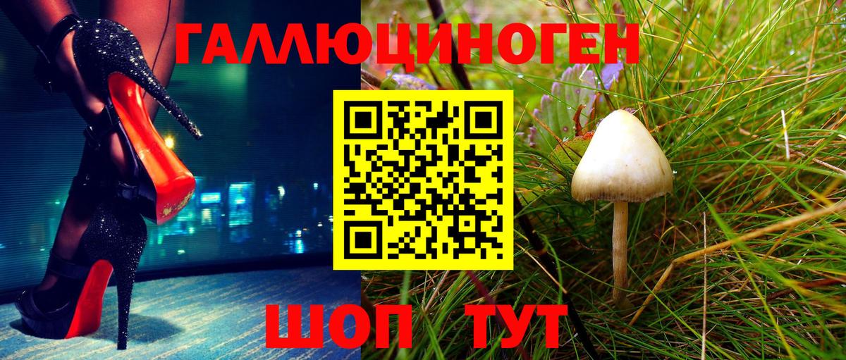 Псилоцибиновые грибы мухоморы Шахты